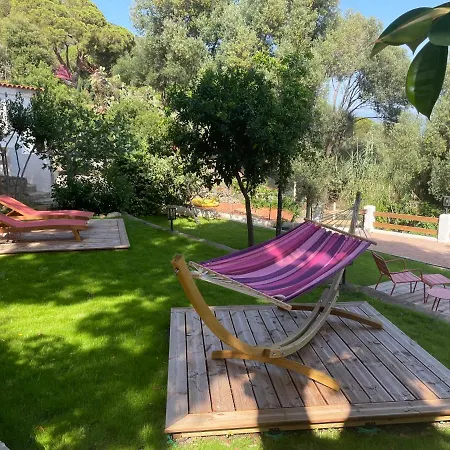 Venez Decouvrir Ce Petit Cocon Situe A Ajaccio Plage A Pied Ajaccio (Corsica)